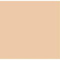 Tru-Color Paint Paint, FS-30279 Desert Sand TCP1426